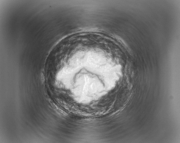 X0000069791212200606021404