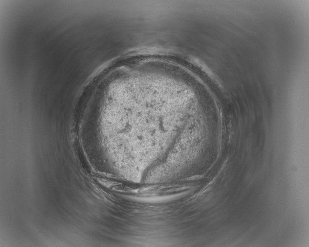 X0000069791213200606021404