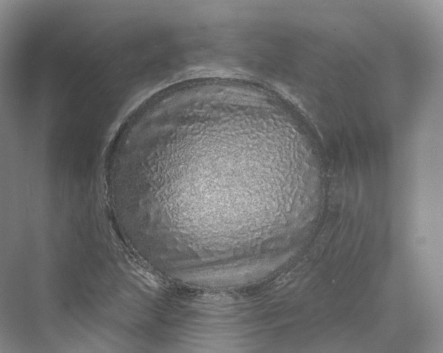 X0000069791215200606021404