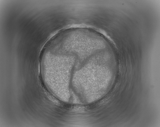 X0000069791221200606021404