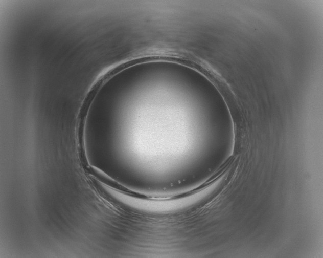 X0000069791222200606021404