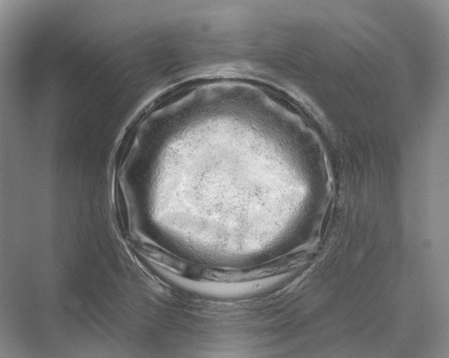 X0000069791224200606021404