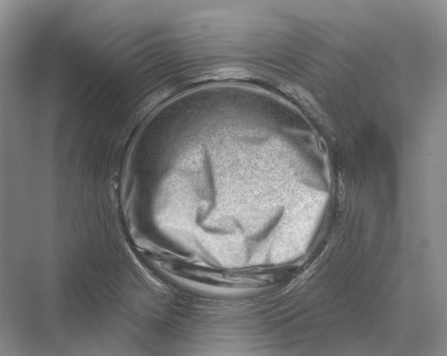 X0000069791225200606021404