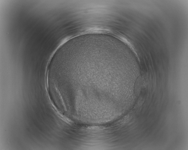 X0000069791227200606021404