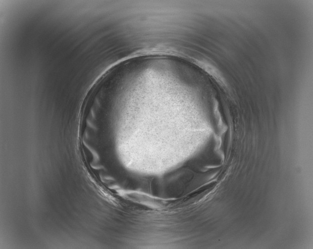 X0000069791228200606021404