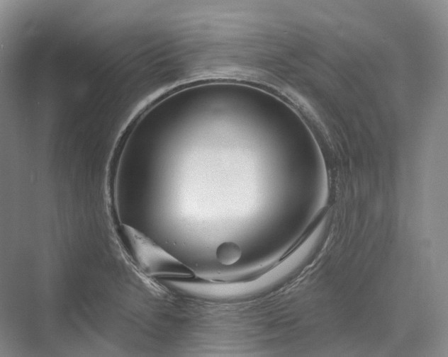 X0000069791230200606021405