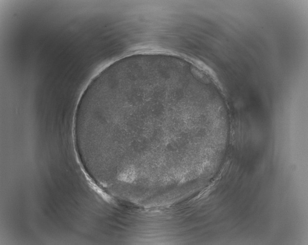 X0000069791231200606021405