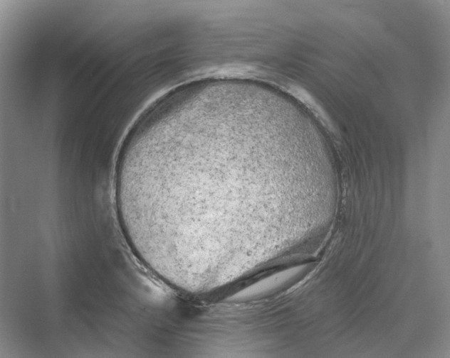 X0000069791232200606021405