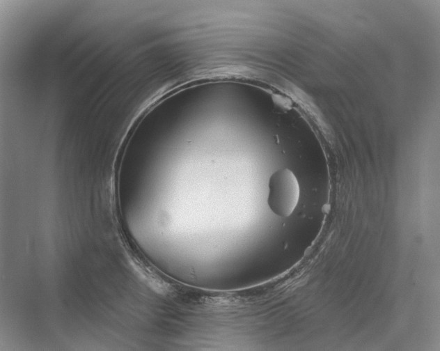 X0000069791234200606021405