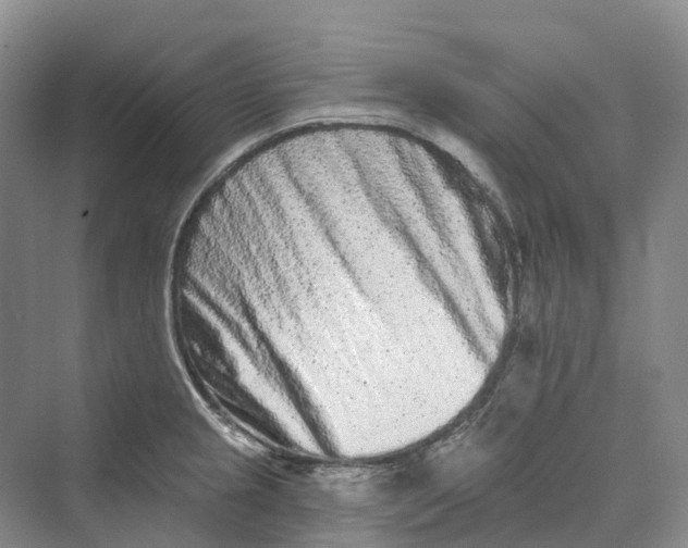 X0000069791237200606021405