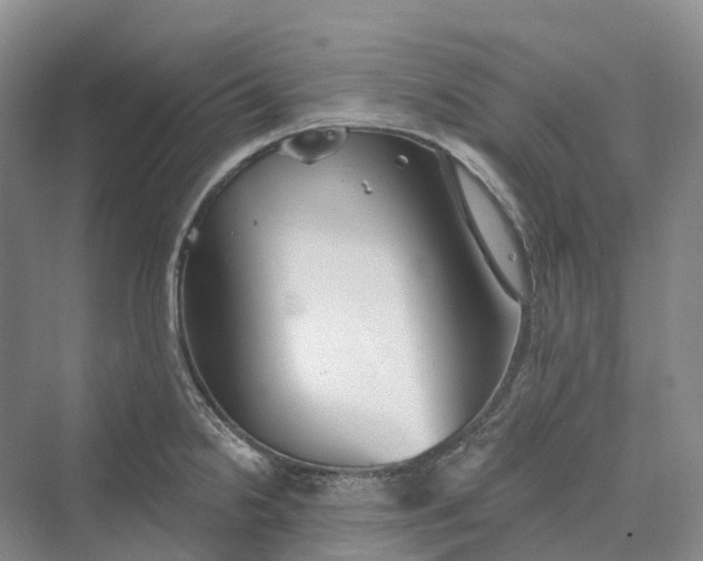 X0000069791238200606021405