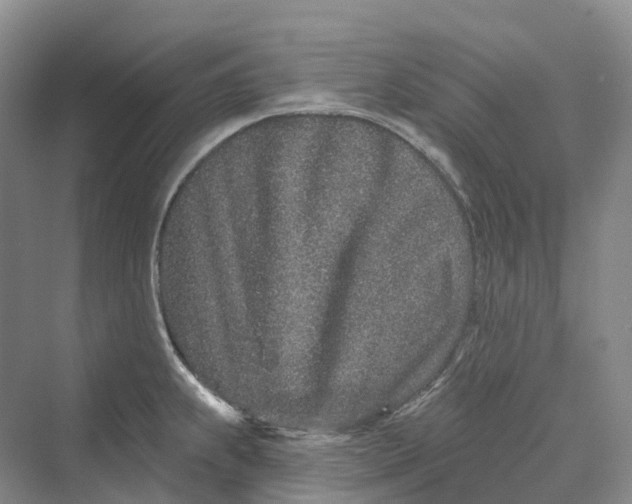 X0000069791239200606021405