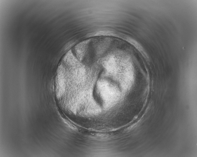 X0000069791241200606021405