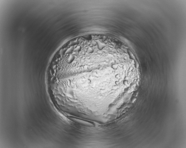 X0000069791243200606021405