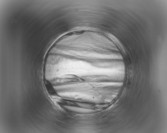 X0000069791244200606021405