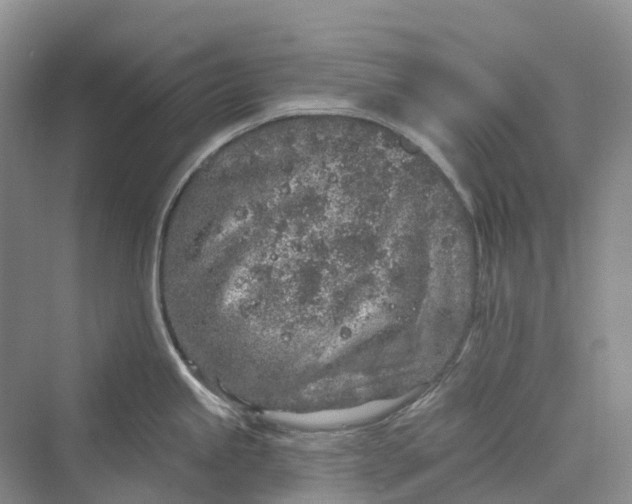 X0000069791245200606021405