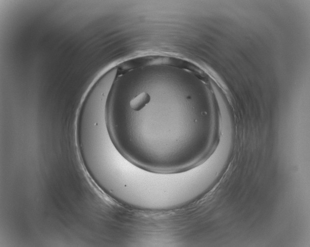 X0000069791246200606021405