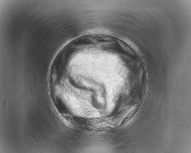 X0000069791248200606021405