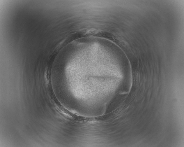 X0000069791250200606021404