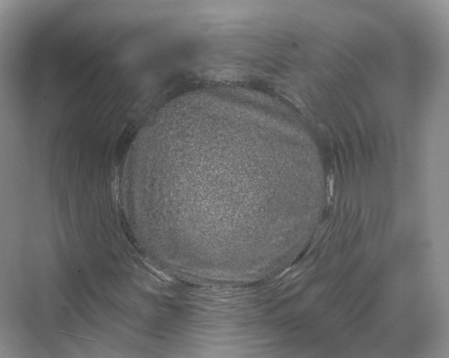 X0000069791251200606021404