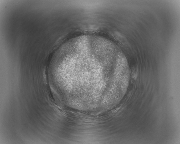 X0000069791252200606021404