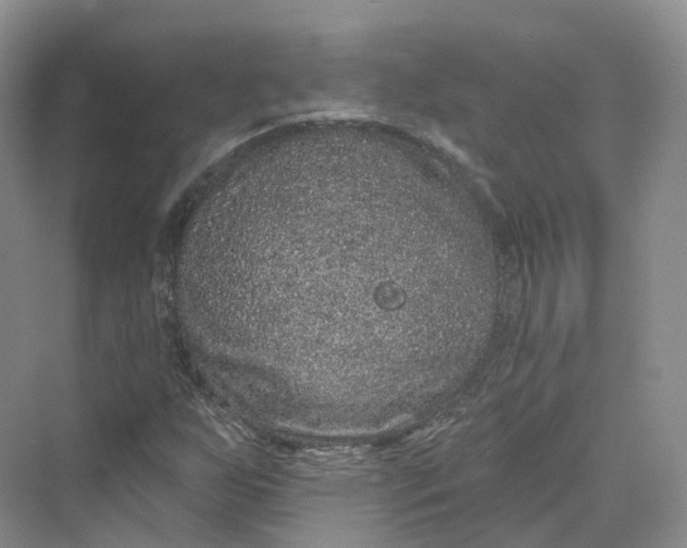 X0000069791255200606021404