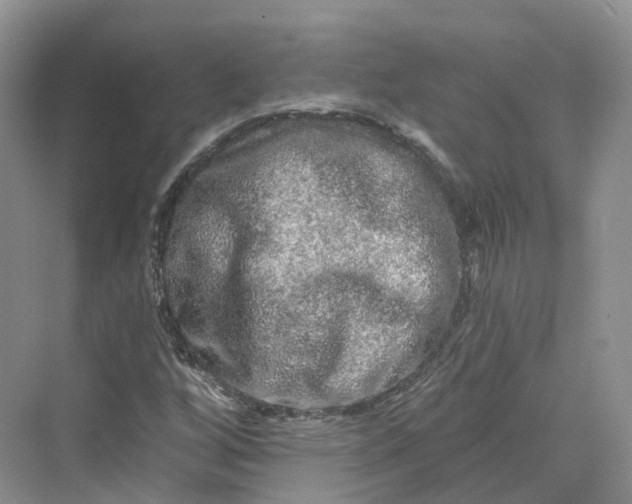 X0000069791256200606021404