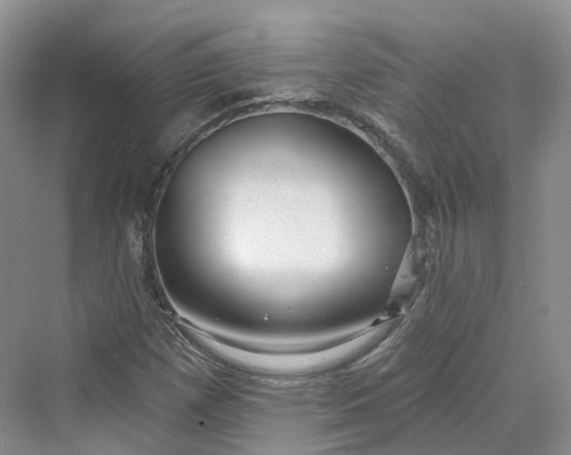 X0000069791257200606021404