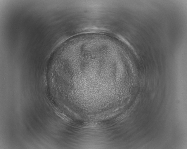 X0000069791259200606021404