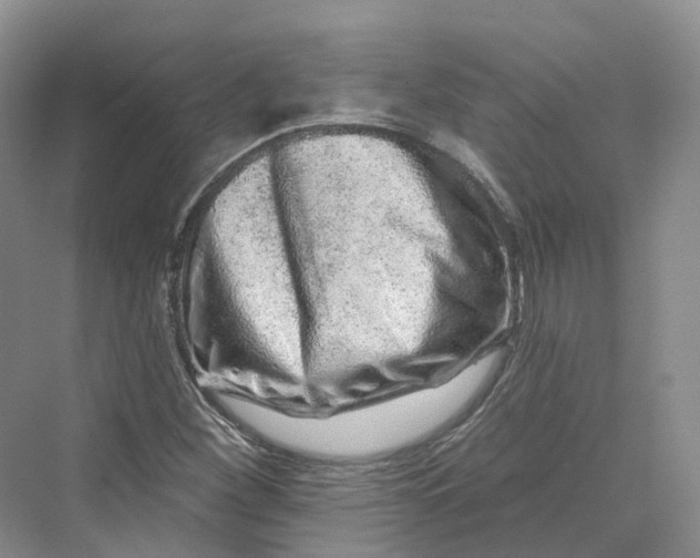 X0000069791260200606021404