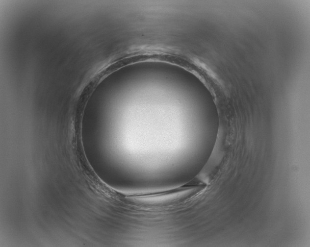 X0000069791261200606021404