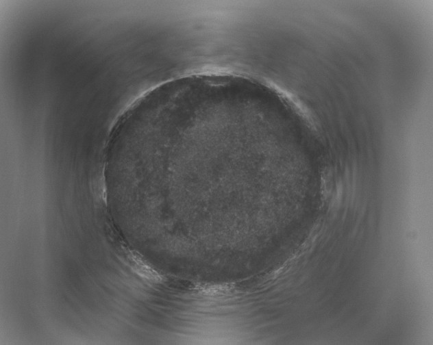 X0000069791262200606021404