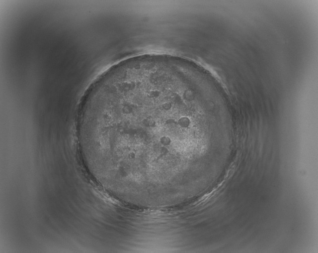 X0000069791263200606021404