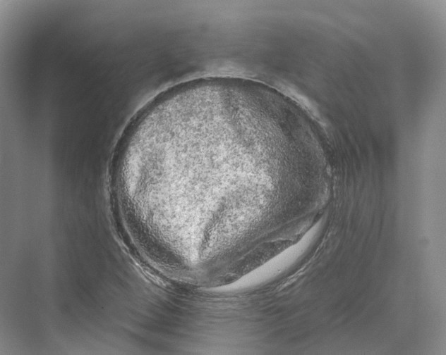 X0000069791264200606021404