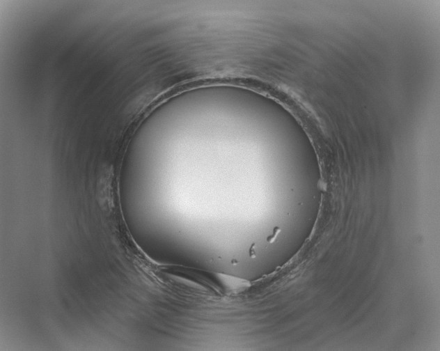 X0000069791265200606021404