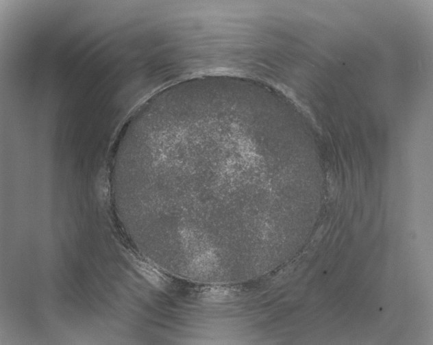 X0000069791266200606021404