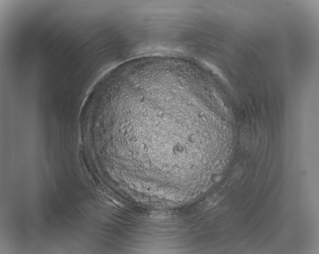 X0000069791267200606021404