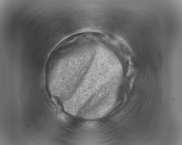 X0000069791268200606021404