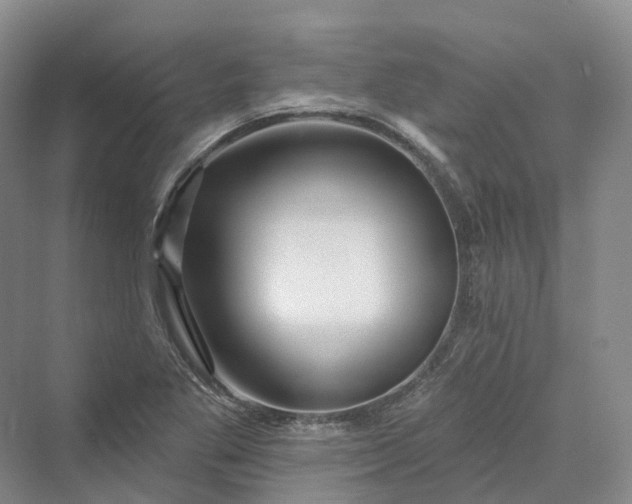 X0000069791269200606021404