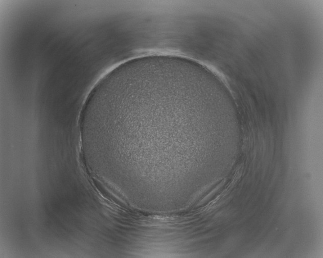 X0000069791271200606021404