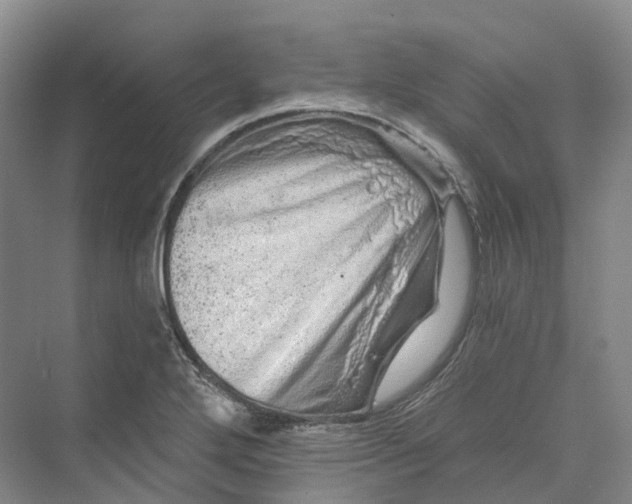 X0000069791272200606021404