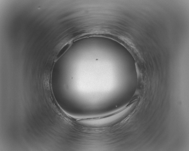 X0000069791273200606021404