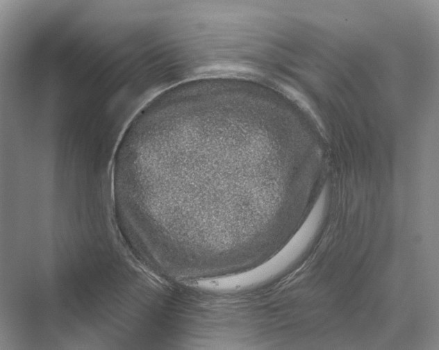 X0000069791275200606021404