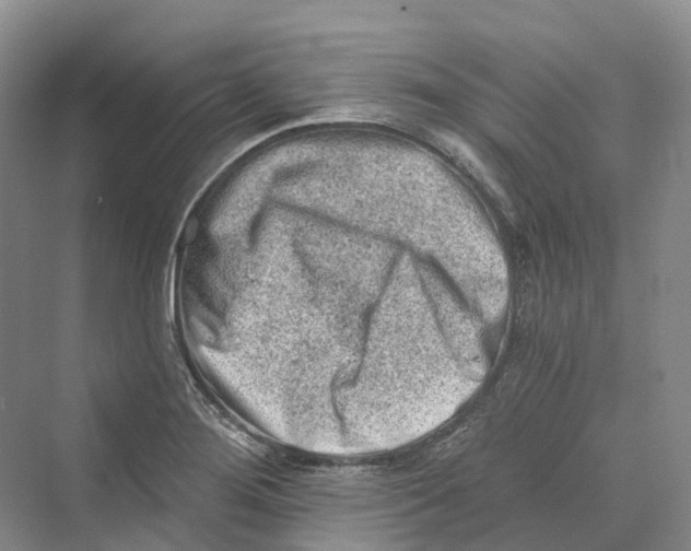 X0000069791276200606021404