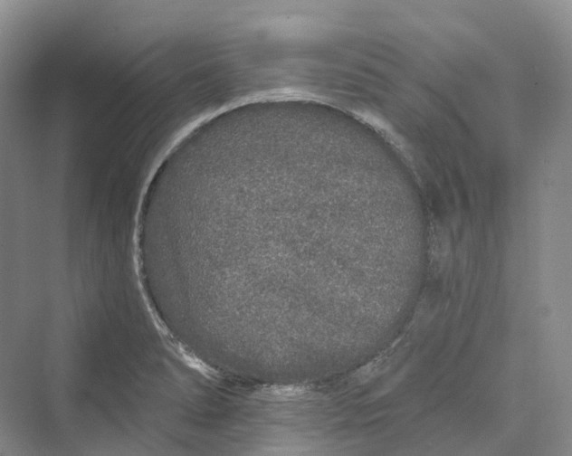 X0000069791278200606021404