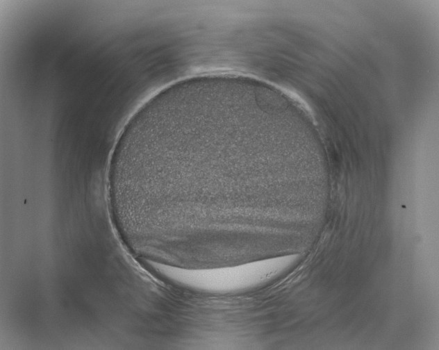 X0000069791279200606021404