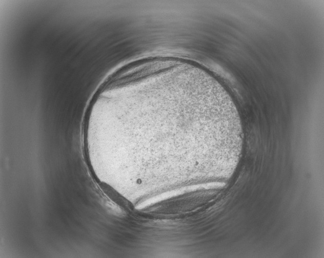 X0000069791280200606021404