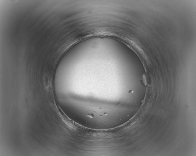 X0000069791281200606021403