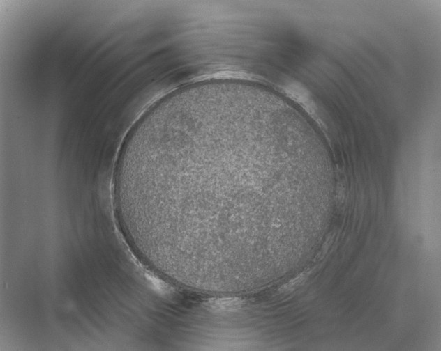 X0000069791282200606021403