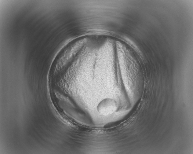 X0000069791283200606021403